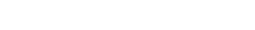 External audit 2:
TonBOX logo