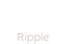 usa logo 1