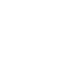 Company logo 2