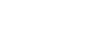 Logo 13