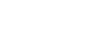 Logo 15