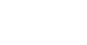 Logo 20