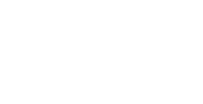 Logo 21