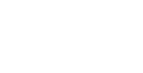 Logo 29