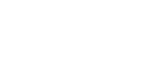 Logo 30