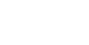 Logo 31
