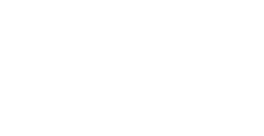 Logo 41